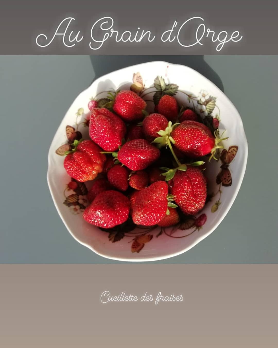 10-les_fraises.jpg